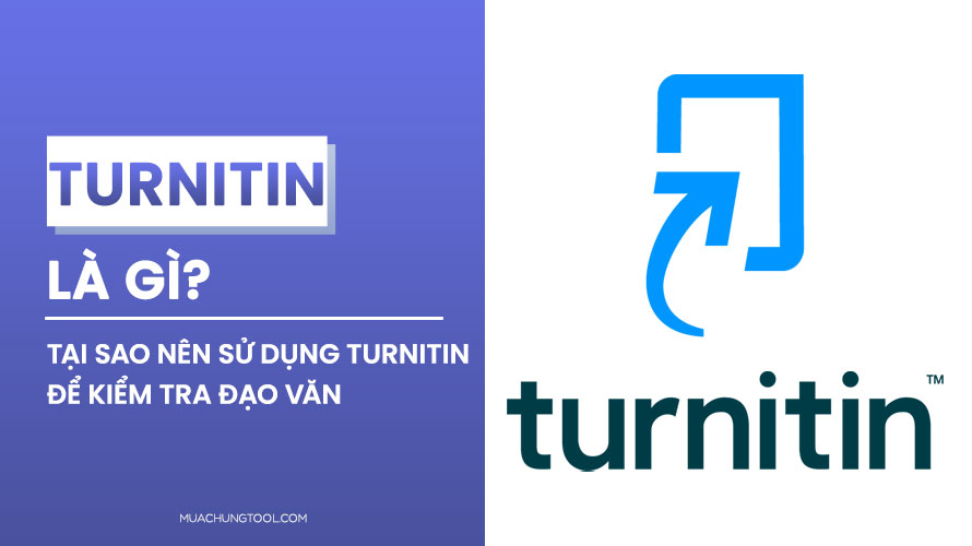 Turnitin Là Gì? Tại Sao Nên Sử Dụng Turnitin Để Kiểm Tra Đạo Văn