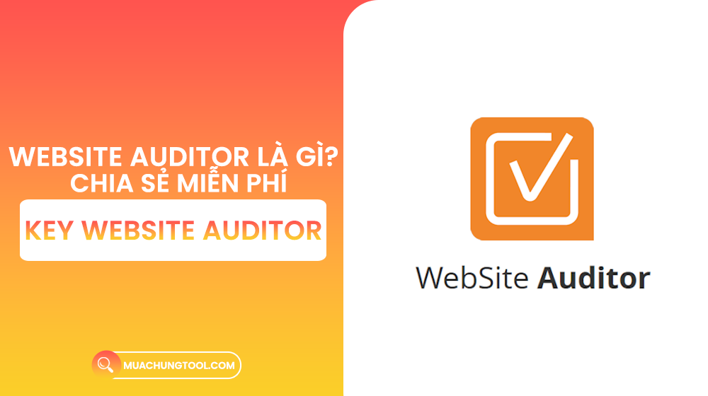 Website Auditor Là Gì Chia Sẻ Key Website Auditor Miễn Phí