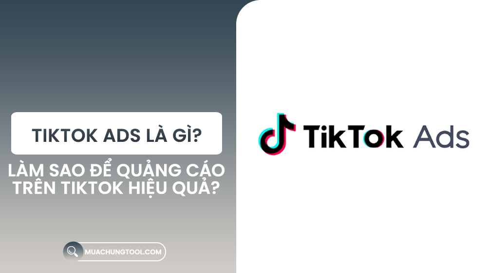 Làm Sao Để Quảng Cáo Trên TikTok Hiệu Quả
