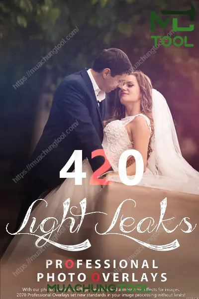 420 Light Leaks Photo Overlays