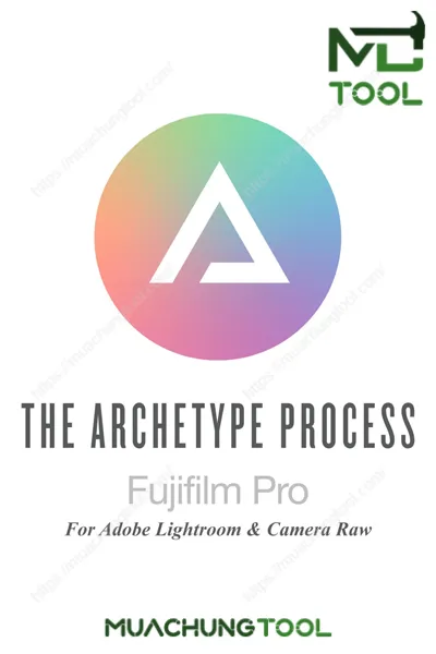The Archetype Process Fujifilm Pro