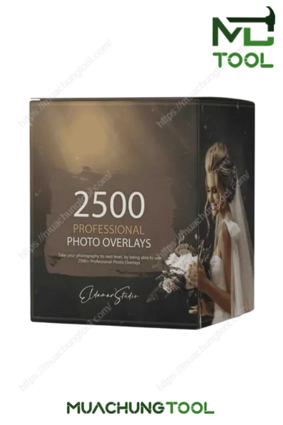 2500 Professional Photo Overlays Bundle