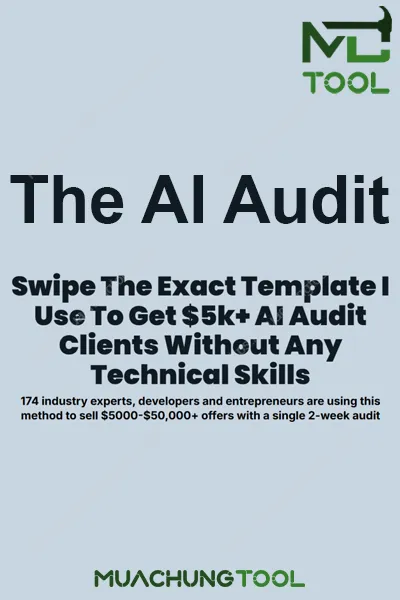 The AI Audit