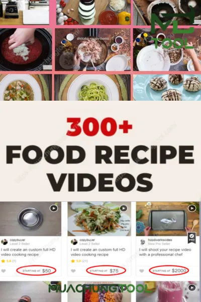 300 Food Recipe Videos