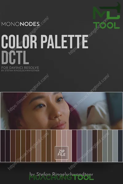 Color Palette Dctl