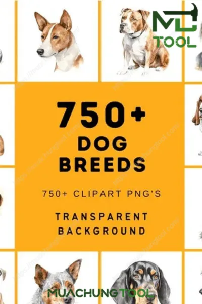 Ultimate Dog Breed Bundle