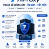 711 Proxy Giá Rẻ