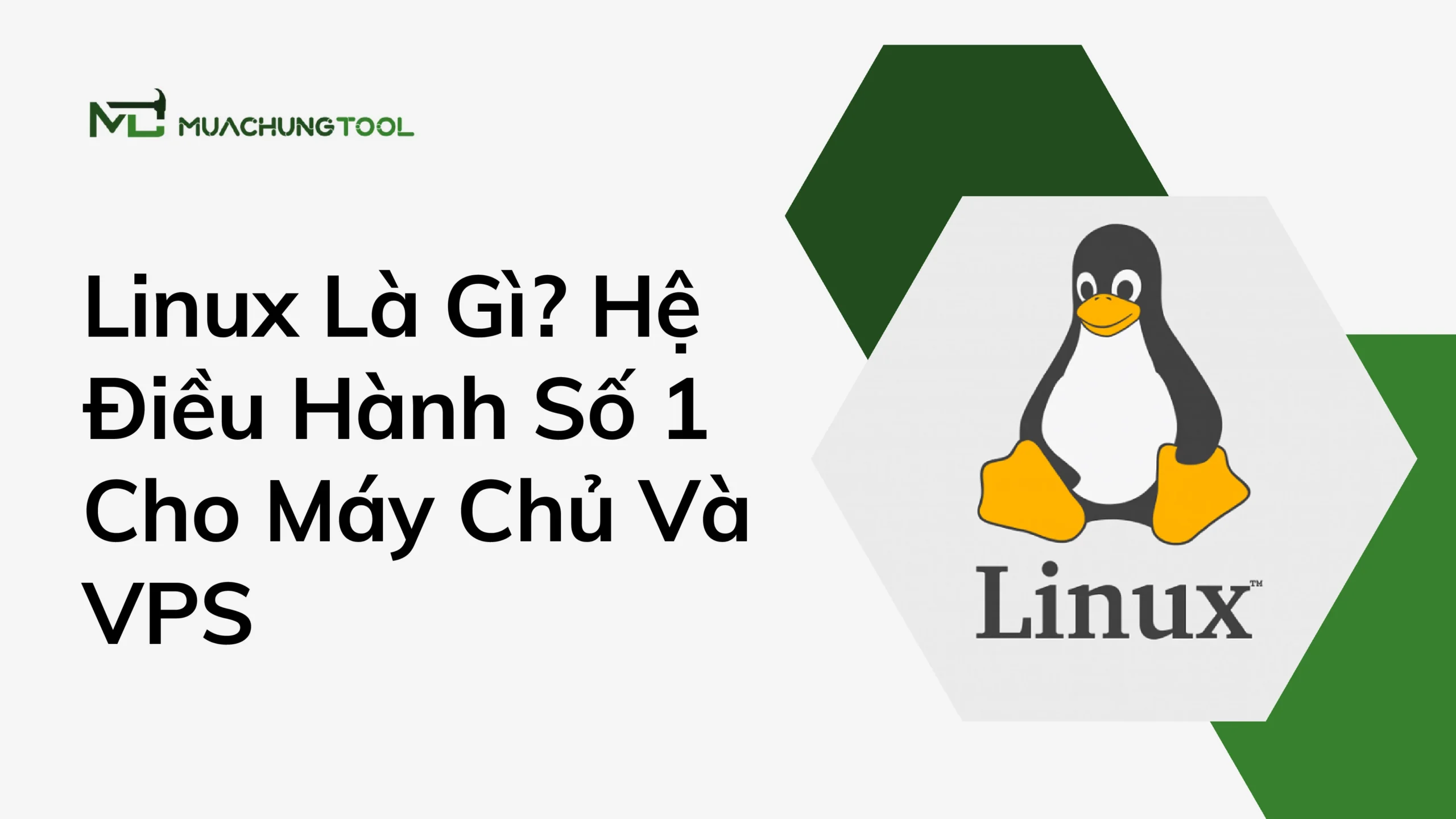 Linux Là Gì Hệ Điều Hành Số 1 Cho Máy Chủ Và VPS