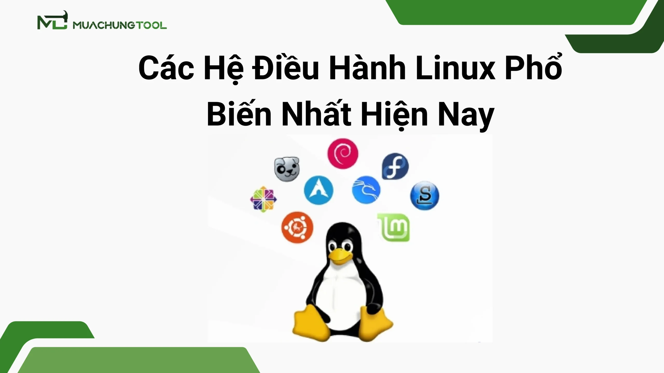 Các Hệ Điều Hành Linux Phổ Biến Nhất Hiện Nay