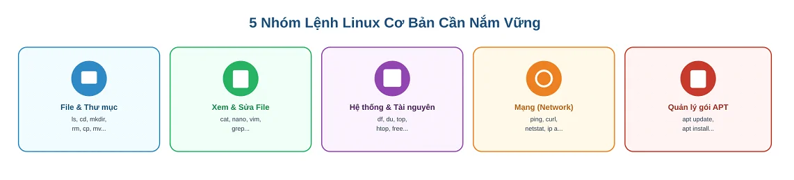 5 Nhóm Lệnh Linux Cơ Bản Mà Bất Kỳ Ai Quản Trị VPS Cũng Cần Nắm Vững