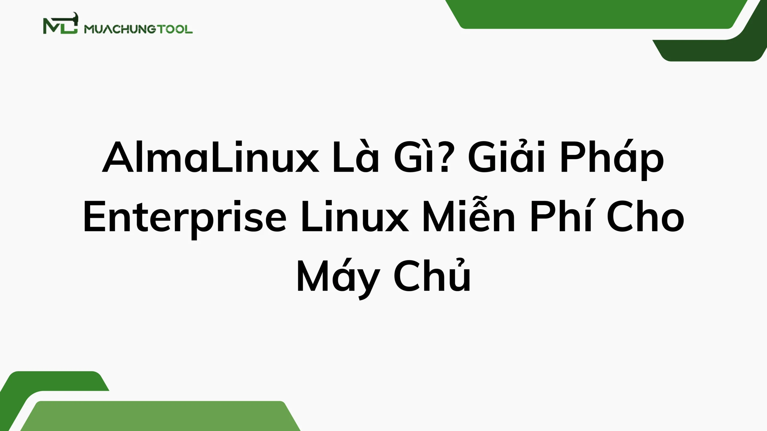AlmaLinux Là Gì Giải Pháp Enterprise Linux Miễn Phí Cho Máy Chủ