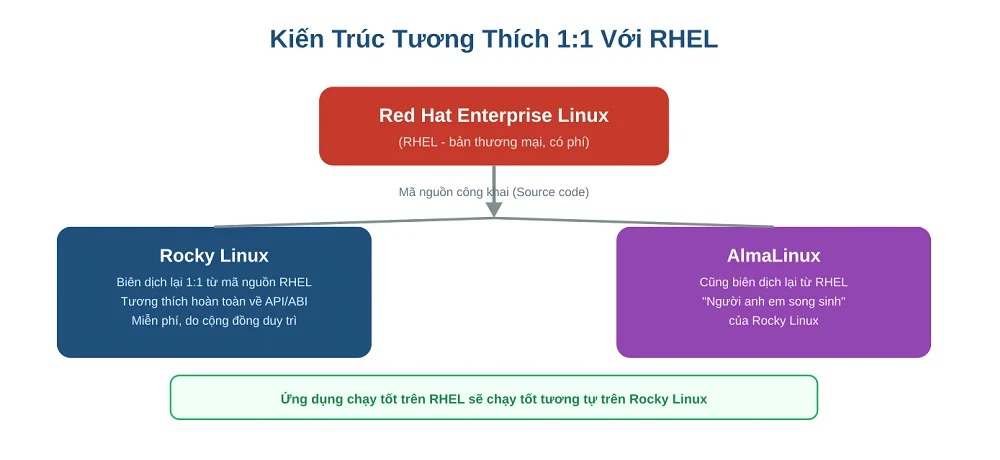 Kiến trúc tương thích 1:1 giữa Rocky Linux, AlmaLinux và RHEL