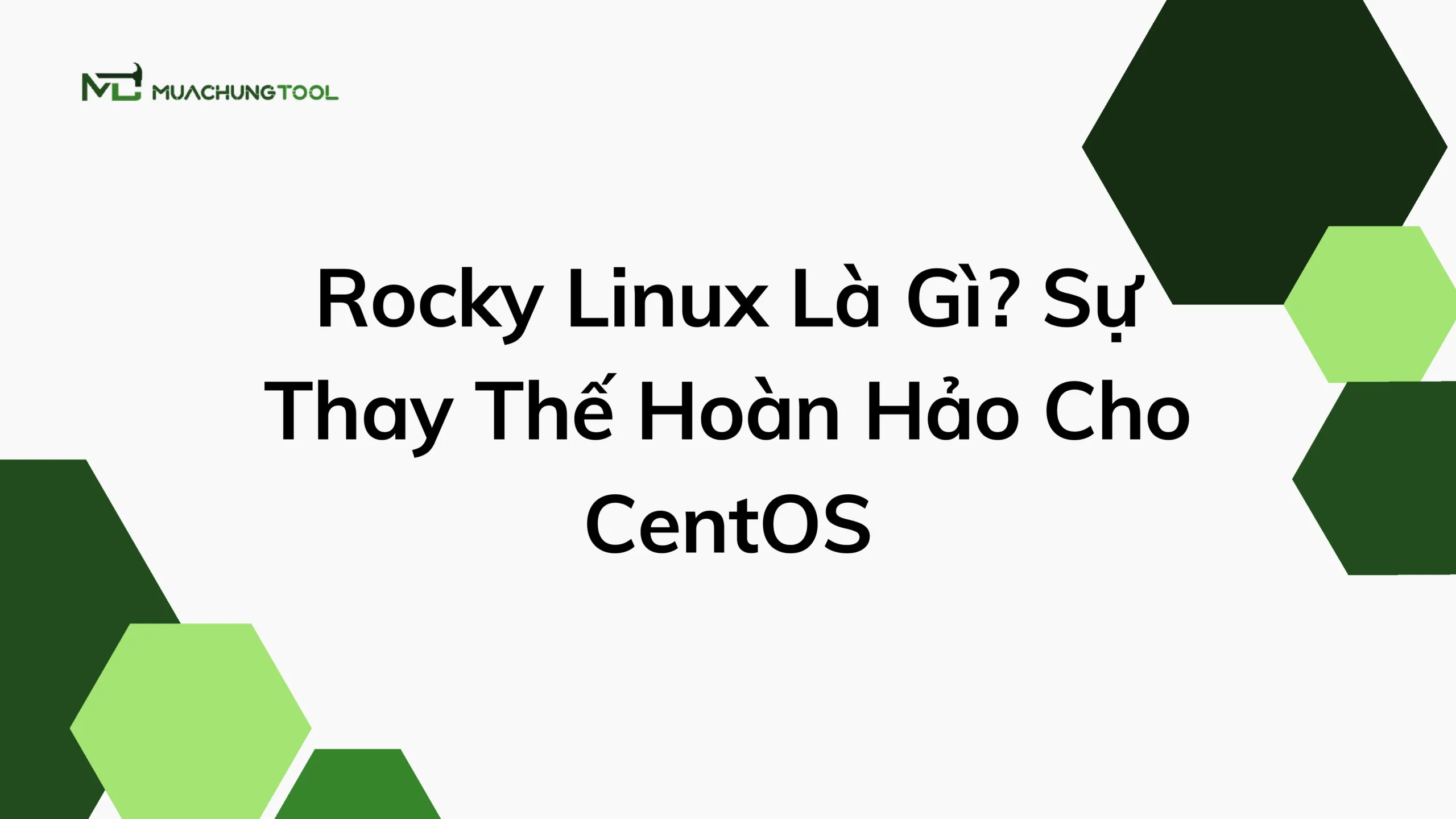 Rocky Linux Là Gì Sự Thay Thế Hoàn Hảo Cho CentOS