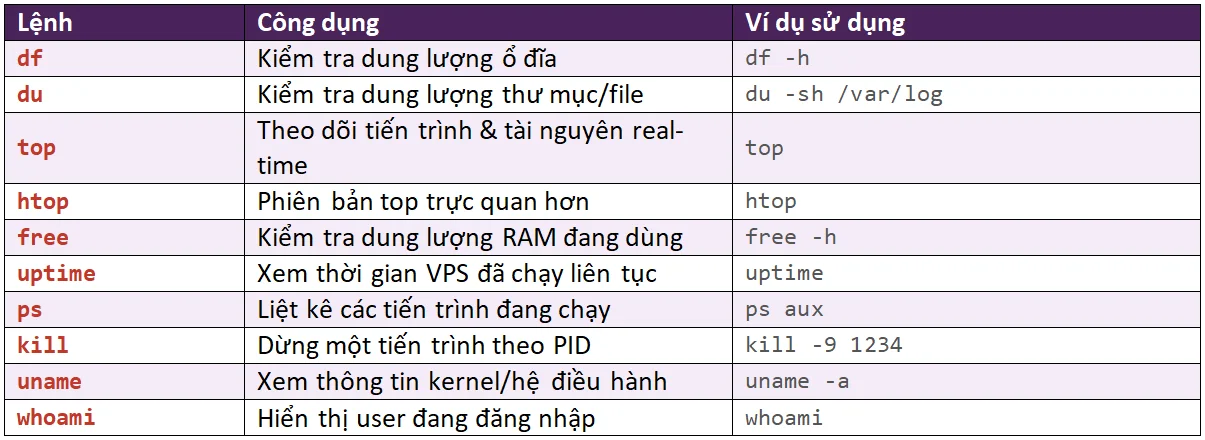 Nhóm lệnh kiểm tra hệ thống & Tài nguyên