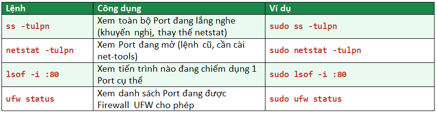Hướng Dẫn Cấu Hình IP Tĩnh, Port Và DNS Trên VPS Ubuntu