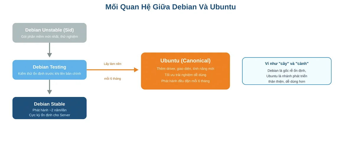 Sơ đồ Mô Tả Mối Quan Hệ Phát Triển Giữa Debian Và Ubuntu