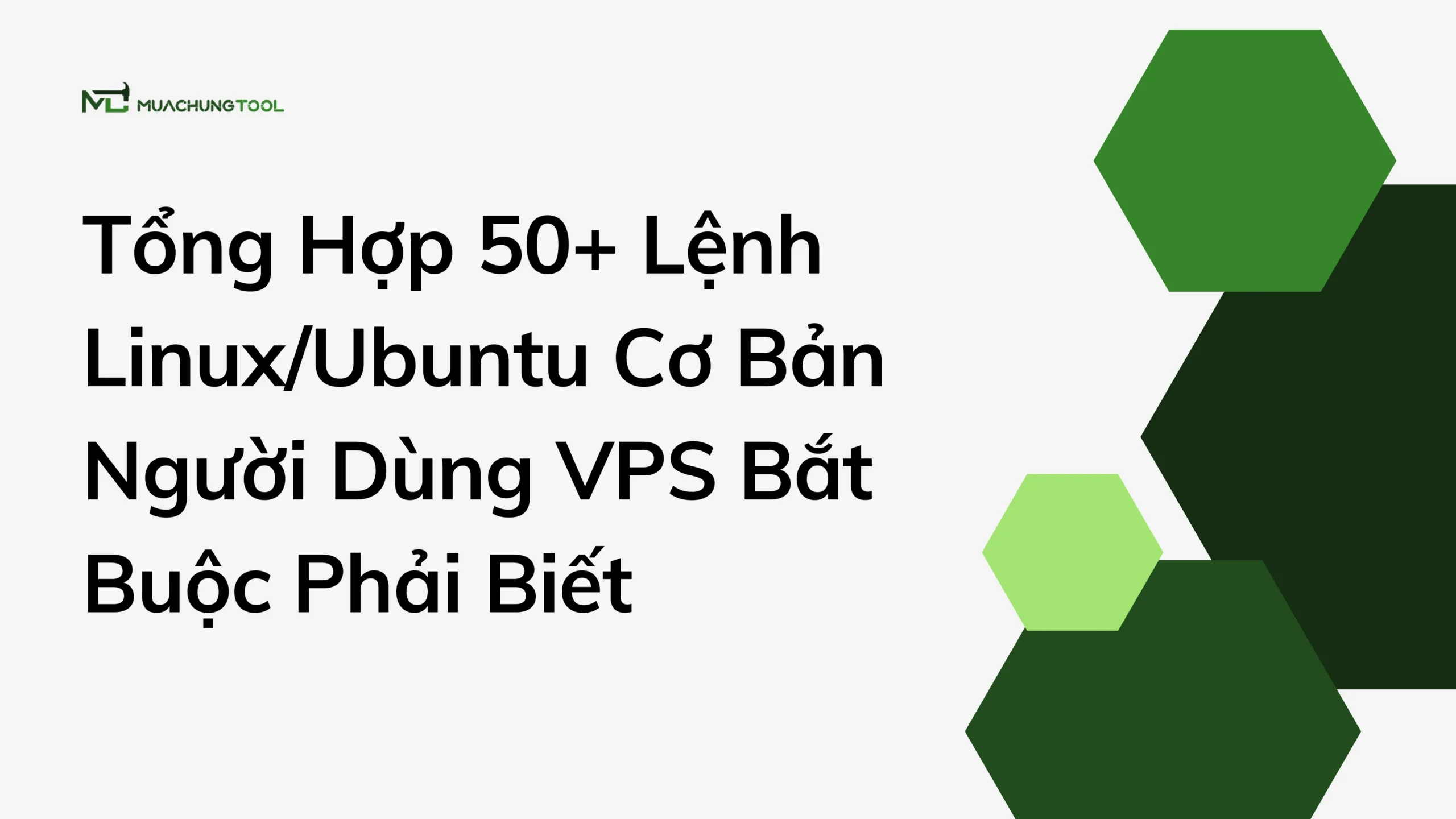 Tổng Hợp 50+ Lệnh LinuxUbuntu Cơ Bản Người Dùng VPS Bắt Buộc Phải Biết